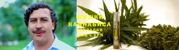 ешки Зеленодольск