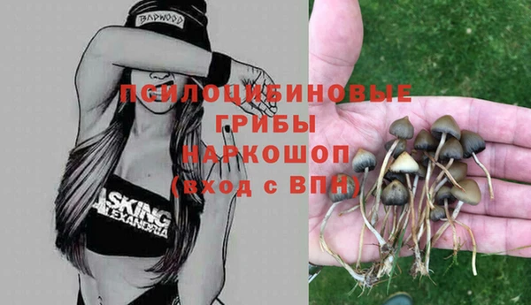не бодяженный Зерноград