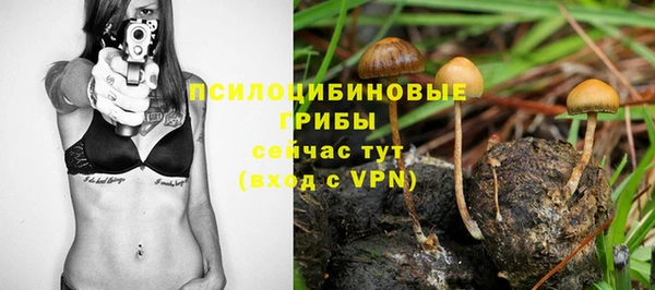 твердый Зеленокумск