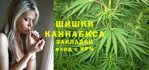 дурь Инта